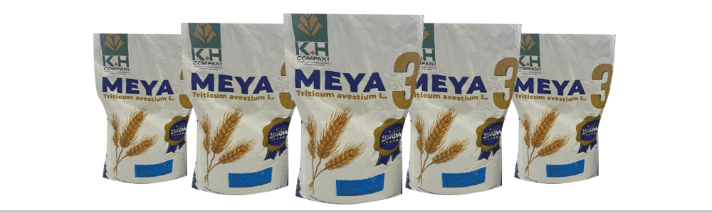 Wheat Seeds – Meya 3